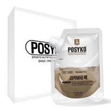 파시코 리커버리팩, 400g, 1개