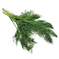야채왕 허브 생잎 딜 Dill 500g 향신료, 1개