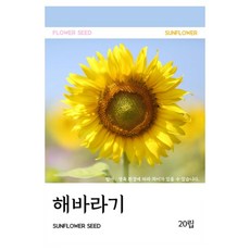 해바라기 씨앗 20립, 3개