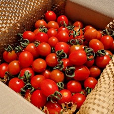 [산지직송] 대추방울토마토 2kg, 1박스, (소과/4번) 2kg