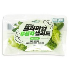 그린어스 무농약 친환경 유러피안 프리미엄 루꼴라 파우치 샐러드, 10개, 80g