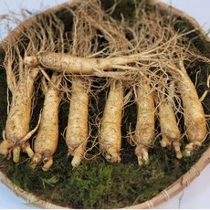 풍기인삼 6년근 실속형인삼 국내산수삼 500g 1kg 믹서용 가정용 홍삼용 선물용, 실속형6년근 중 1kg(17~24뿌리), 59900개
