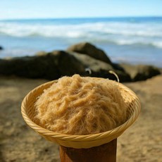 말린 우뭇가사리 200g *5 한천 우무 묵 만들기 / 다이어트 키토식단 추천 완도산 건조 해조류 식이섬유, 5개