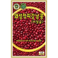 빨강 강낭콩씨앗 3개 국내산 왜성 비넝굴 붉은강낭콩 종자