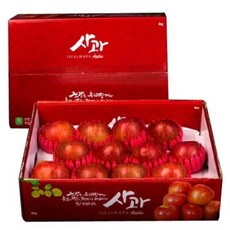 [실속] 저탄소 gap인증 사과세트1호 4kg(11~13입)/BFK, [실속] gap인증 사과세트1호, 1개