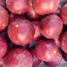 패션후르츠(백향과) 국내산 생과 [원산지:국산(부산시강서구)], 1개, 1kg