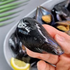 거제 통영 다듬은홍합 세척홍합 홍합살 4kg 5kg 10kg [원산지:국산(경상남도 남해군)], 1세트, 세척홍합4kg