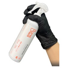 국보싸이언스 프로텍홈 파리 빈대 살충제 290ml, 1개입, 1개