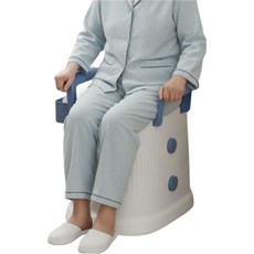 아모라스 성인 노인화장실 휴대용 이동식 변기, 혼합, 1개