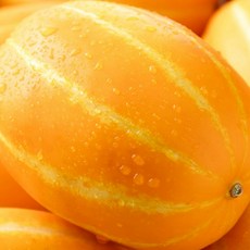 [신년특가] 산지직송 성주 꿀 참외 가정용 대과, 1박스, 가정용 대과 5kg (6-14과)