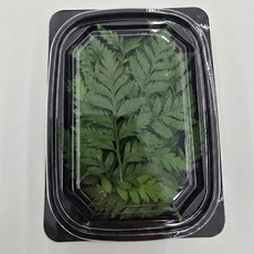 노무라잎 로무라잎 1팩 10g, 1개, 1팩(10g)