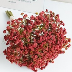 클레이스 프리미엄 안개꽃 조화 꽃다발, 1개, 레드 1개, 레드