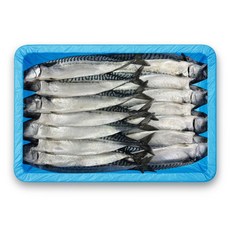 노르웨이 자반고등어 8손 10손 왕특 특대 업소용 간고등어 가정용 생선 구이 도매, 5손(소), 10마리, 1개, 2.5kg