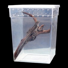 Lanboer 爬蟲類直立式飼養箱 FREE, 1個, 半透明