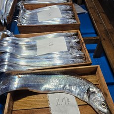 프롬제주 은갈치 제주갈치 손질갈치 특대갈치 산지직송 명품갈치, 1개, 450g