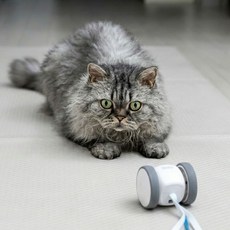 냥쌘돌이 고양이 자동 장난감 USB-C 충전식 LED 회전 깃털, 1개, PET_NSD_01