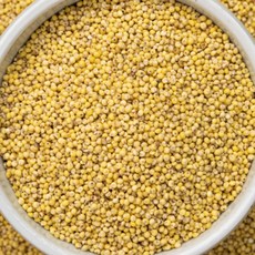 2025년 국산 햇 기장쌀 찰기장, 1kg, 1개