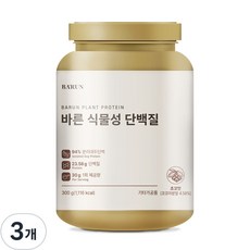 바른 식물성 단백질 프로틴 유당 콜레스테롤 제로, 300g, 3개