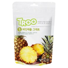 트루나스 TROO 동결건조 과일칩 9종 중 택1, 25g TROO 생파인애플 그대로, 1개