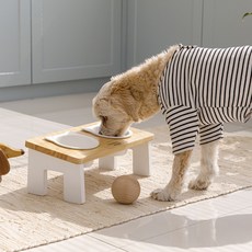 Happy Village 寵物木製餐桌+造型餐碗 2入組, 白、黑(餐具), 1套