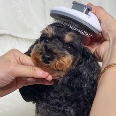 MAAH 반려동물 원터치 브러쉬 + 눈꼽빗 소형 + 대형 세트, 1세트, 혼합색상