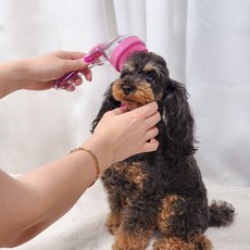 마아 반려동물 샴푸 마사지 브러쉬 핸디형, 핑크, 1개