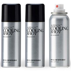 에어시스 휴대용 신발 탈취제 쿨링샷 본품 스피어민트향, 80ml, 3개