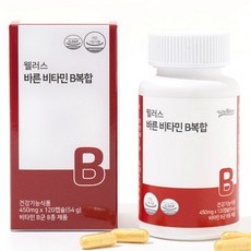 웰러스 천연 비타민B 컴플렉스 바른원료 B군 복합 8종 120캡슐 식물성캡슐 자연유래 NO화학부형제, 2박스, 120정