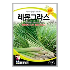 세계종묘 레몬그라스 20립 일반종 레몬향 식용꽃 허브 꽃씨 씨앗 종자 세계, 1개