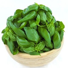 야채왕 향긋한 생바질 스위트바질 생잎 Basil 바실 100g/ 500g, 바실 100g, 1개