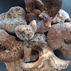 자연산 능이버섯 최상 A급 1KG, 1세트