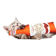 힐링타임 고양이 캣닢비어 쿠션 NH-0303, 혼합색상, 2개