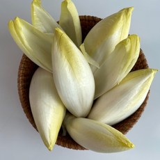 앤다이브 엔다이브 500g(4~5개입), 500g, 1세트