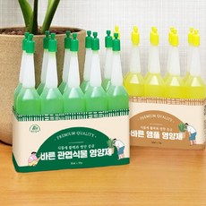 트리맘 식물영양제 10P 종합 꽃 관엽 난 다육이 앰플형 영양제 그린썬, 관엽식물영양제(초록)