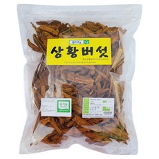 [문상영 버섯] 유기농 프리미엄 상황버섯 알뜰 실속형, 500g 실속 절편, 1개