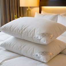 담은일상 휴비스 5성급 호텔 베개 빨아쓰는 지퍼형 높이조절 무형광, 1개, M2화이트(방충/알러지케어)