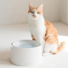 PROJECT 21 寵物太平洋水盤套組, 混合色, 1個