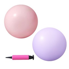 미니 짐볼 필라테스 요가볼 미니볼 25cm, 2개