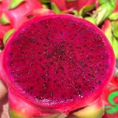 미미네 당도보장 프리미엄 레드용과, 1박스, 2~2.5kg (2~3개)