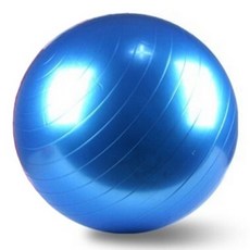 이도스포츠 다이어트 체형 짐볼 (초대형) 130cm, 파랑