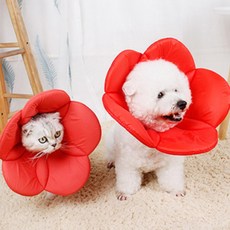 DING DONG PET 寵物魔鬼氈花朵頸圈, 紅色, 1個