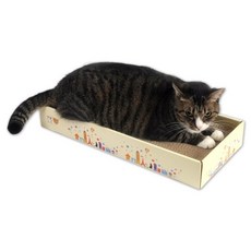 위드캣 알뜰평판 3P 스크래쳐, 2개