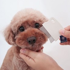 딩동펫 반려동물 페이셜 라운딩 눈꼽빗 63 x 5 x 58 mm, 화이트, 1개