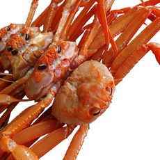 포항 구룡포 자숙 연지홍게 수율 70%내외 실속형, 1개, 3kg