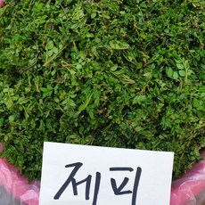 생 제피잎 재피잎 500g 재피순, 1개