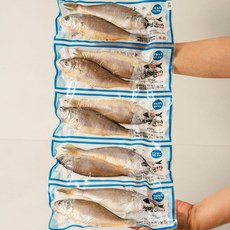 비늘 제거 법성포 영광굴비 진공포장 손질 20미 가정용 선물용 참조기, 1개, 1.4kg