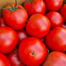 스마트마토 완숙토마토 산지직송 유럽종 5kg 스마트팜 연중생산, 1박스, 5kg 랜덤(못난이)