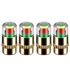 타이어 공기압 체크밸브 타이어 밸브캡 타이어 밸브마, 골드, 1세트