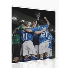 아라크네 화이트족자봉 프로젝터 빔스크린 120인치, 빔스크린 120인치 화이트족자봉