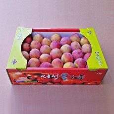 행복농원 의성 옥자두 대석 후무사 도담 추희 자두 2Kg 4Kg, 1박스, 중과